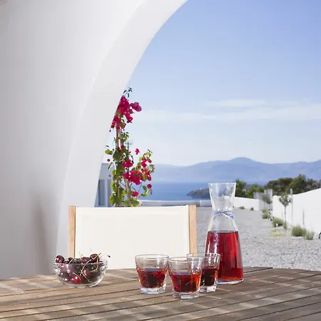酒店 米科诺斯西娅精选别墅 Mykonos Town